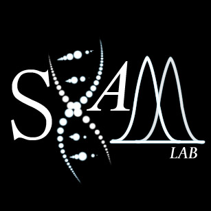 Sham Lab logo